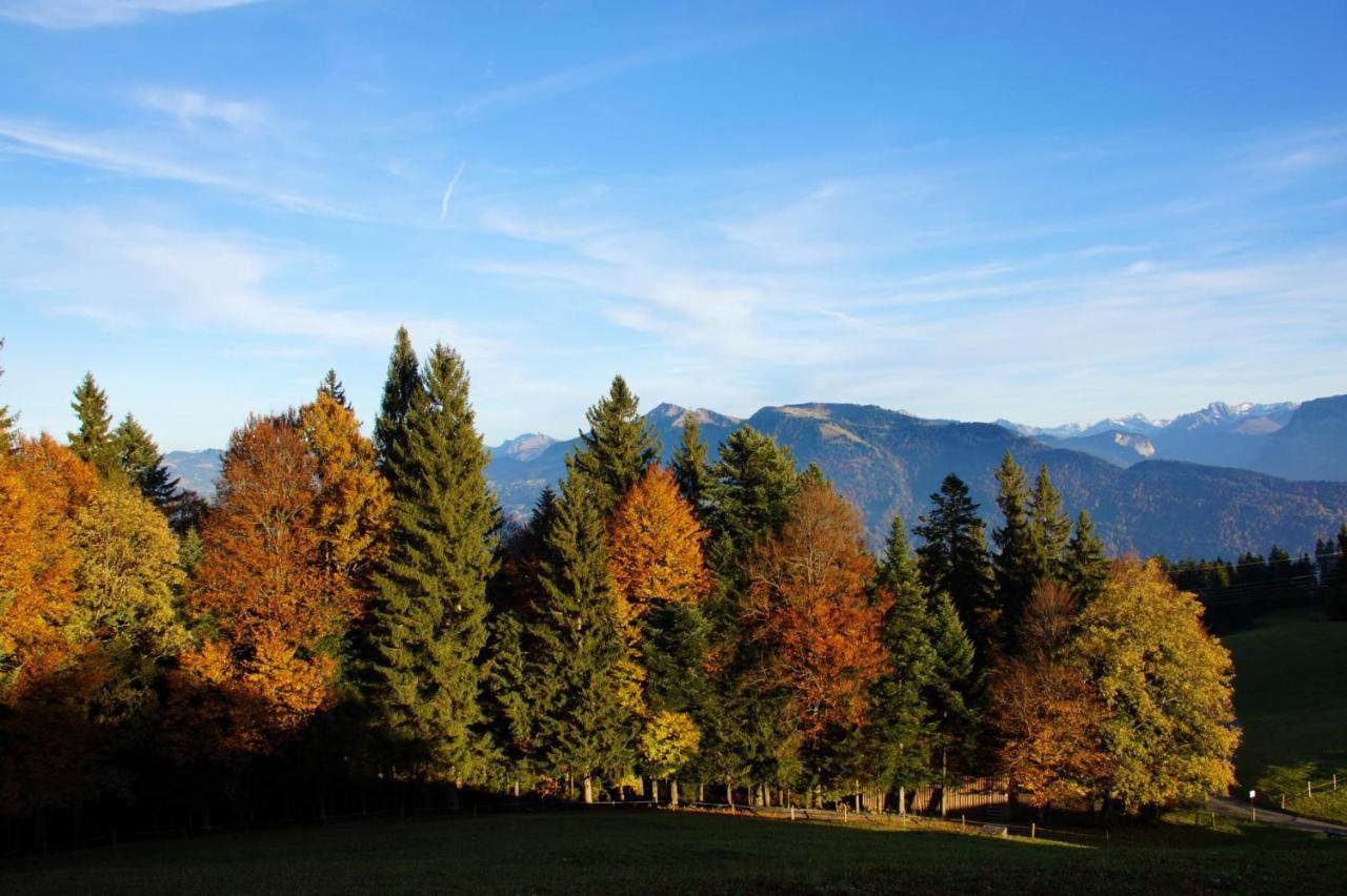 Alpengasthof Brueggele Hotell Alberschwende Exteriör bild